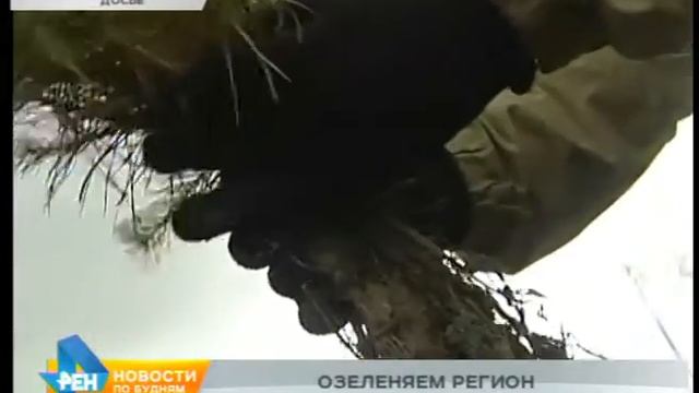 Серебристые тополя высадят в парке иркутского музея-усадьбы Сукачёва смотреть онлайн