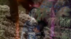 Некуда бежать