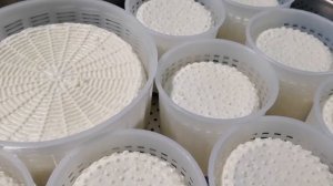 Formaggio Giovane (Молодой домашний Сыр) / Сырные Бачонки / Как сделать Сыр в домашних условиях