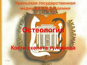 Кости скелета туловища