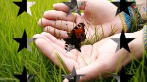 Песни под гитару " Солнышко ты моё ясное"