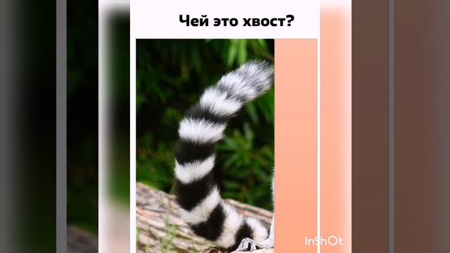 Экологический калейдоскоп