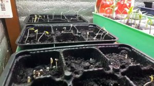 Не повторите мои ошибки!!!