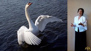 Камиль Сен-Санс.
"Лебедь"
Поёт Н. Климова