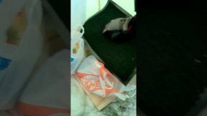 Самодельная походная печка  из фреонового баллона и как она работает в - 23