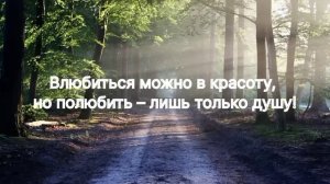 МУДРЫЕ ЦИТАТЫ которые ты должен услышать!ЦИТАТЫ из жизни. Афоризмы, Сильные слова