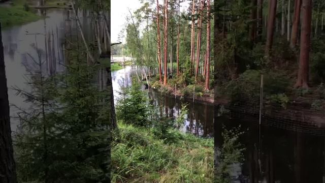 Карелия
