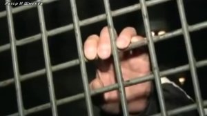 Аркадий Кобяков - журавли