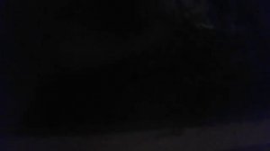 Куры несутся ночью!!