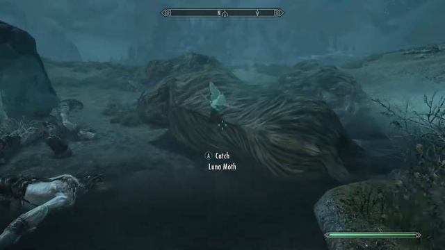 How to get Luna Moth Wing - Skyrim смотреть онлайн