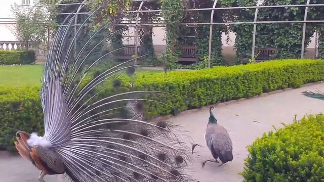 Такого я еще не видела.. смотреть онлайн