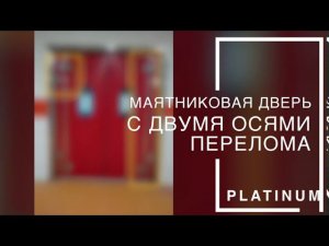 Маятниковая дверь с двумя осями перелома "Platinum" для складов, магазинов и торговых комплексов