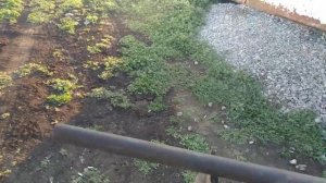 Коптильня своими руками. Дымогенератор холодного копчения без поддува. Дымогенератор своими руками.
