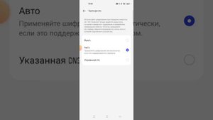 как сделать DNS сервер для браво старс