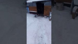 снегоуборщик с мотором от триммера своими руками быстро и качественно.