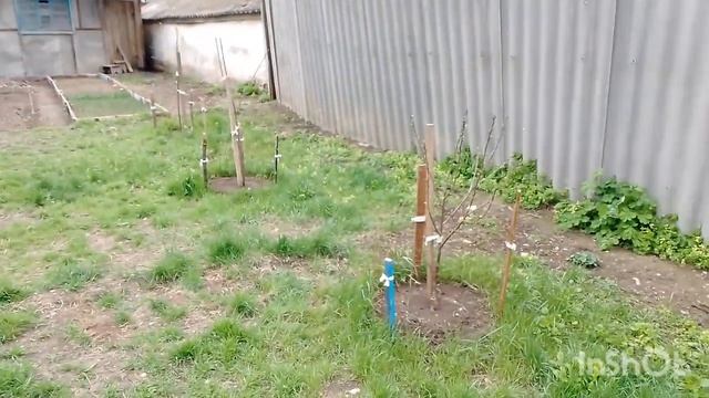 Переехали на Юг//Всё растёт в моём садочке//Работаю на точильном станке//Сверлю. смотреть онлайн