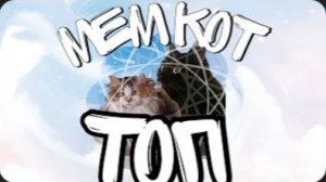 СМЕШНЫЕ КОТЫ??? ЛУЧШИЕ ПРИКОЛЫ С КОТАМИ!