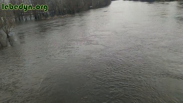 псел смотреть онлайн