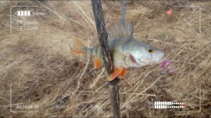 Весенний микроджиг с Crazy Fish Nano Zero Carbon NSRC582SXULS