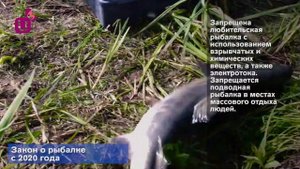 Закон о рыбалке с 2020 года