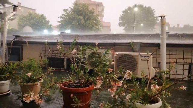 Погода в Болгарии (Солнечный берег). 03.07.2021 смотреть онлайн