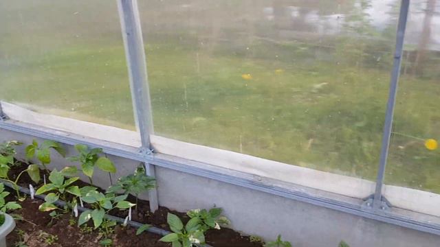 Дождик 22 мая 2022,  Но нам и с ним найдется чем и как "отдохнуть" смотреть онлайн