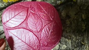 Молды и вайнеры для кустовой розочки