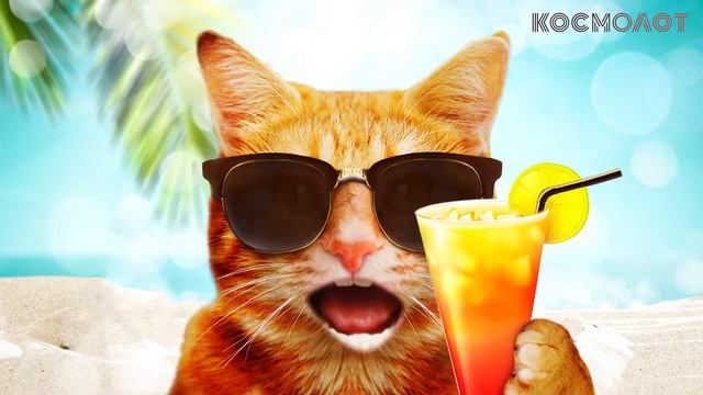 HD - песня из рекламы КОСМОЛОТ Спекотний лям
