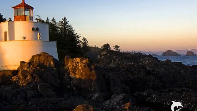 " Nadji novu ljubav" Nedeljko (Sasa Matic) смотреть онлайн