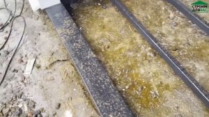 ГАРАЖ ИЗ СЭНДВИЧ ПАНЕЛЕЙ НА ВИНТОВЫХ СВАЯХ В СНТ СЛАВЯНО-2 | СТРОИМ ДЛЯ ВАС