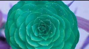 🌺 Ассалом алейкум 🌺 Хайрли тонг 🌺 Assalom Aleykum 🌺 Hayrli tong 🌺