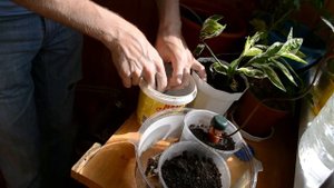 Тест и обзор керамических насадок для капельного полива.