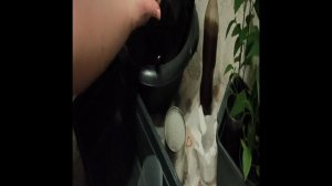стаканчики из пленки