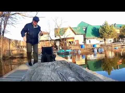 Один день в КРХ  "Усадьба соколиное гнездо"  д. Соколово. 19.04.2019.