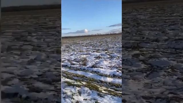 Бесхозяйственность.Заречное.Камчатка. Экосистема.Заповедный край. Экология Камчатки.