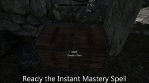 Instant Mastery - A Skyrim Speed Leveling Mod