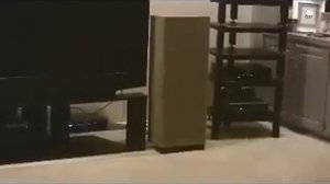 Audio Research VSI60 with KT120 Tubes and Marantz SA8004 SACD Player