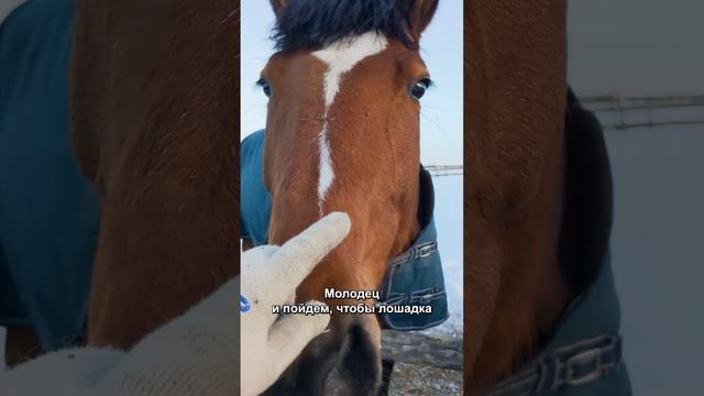 Пойдем, заберем косю, которой зубик удалили. ?