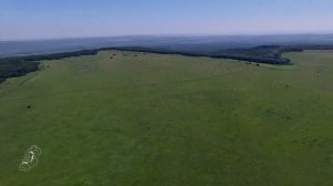 Стрижамент