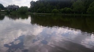Москва. Мещерский пруд. 2020 год.