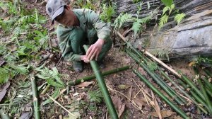 FULL VIDEO : 365 days, survival alone, skills, boar traps, survival instincts