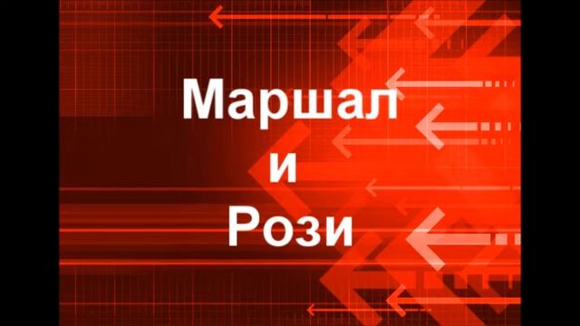 Пары Щенячего патруля смотреть онлайн