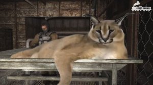 Шлёпа рассказывает бандитский анекдот в STALKER