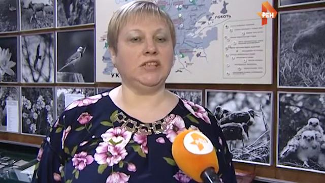 Выставка Бунин и Паустовский 24 03 15 смотреть онлайн
