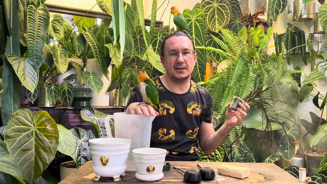 NOWE ROŚLINY I NOWE OSŁONKI