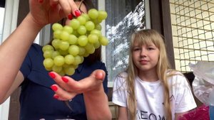 Новомихайловский отдых / Рынок выходного дня / Самые НИЗКИЕ цены / Новомихайловский Черное море