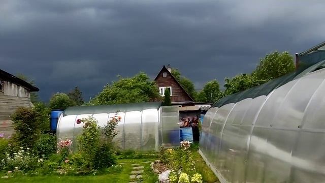 09.08.22.Дача.Гроза☂️а мы Туи сажаем???сумасшедшие дачники??? смотреть онлайн