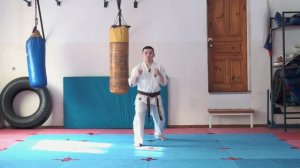 Ката+Кихон для сдачи на белый пояс