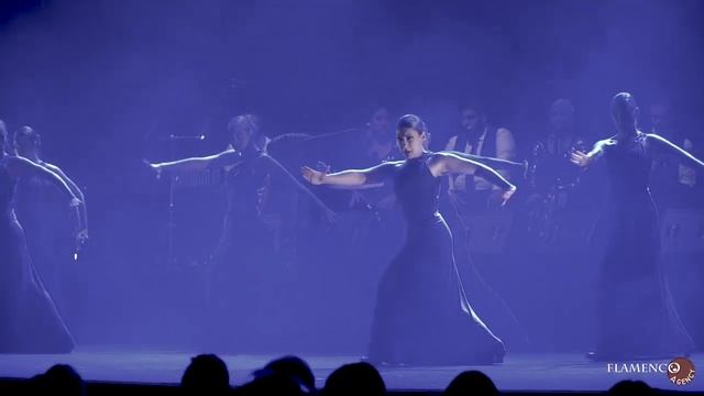 Barcelona Flamenco Ballet Promo 3 смотреть онлайн