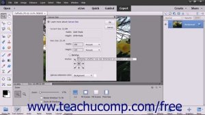 Photoshop Elements 2018 Tutorial Changing the Canvas Size Adobe Training
